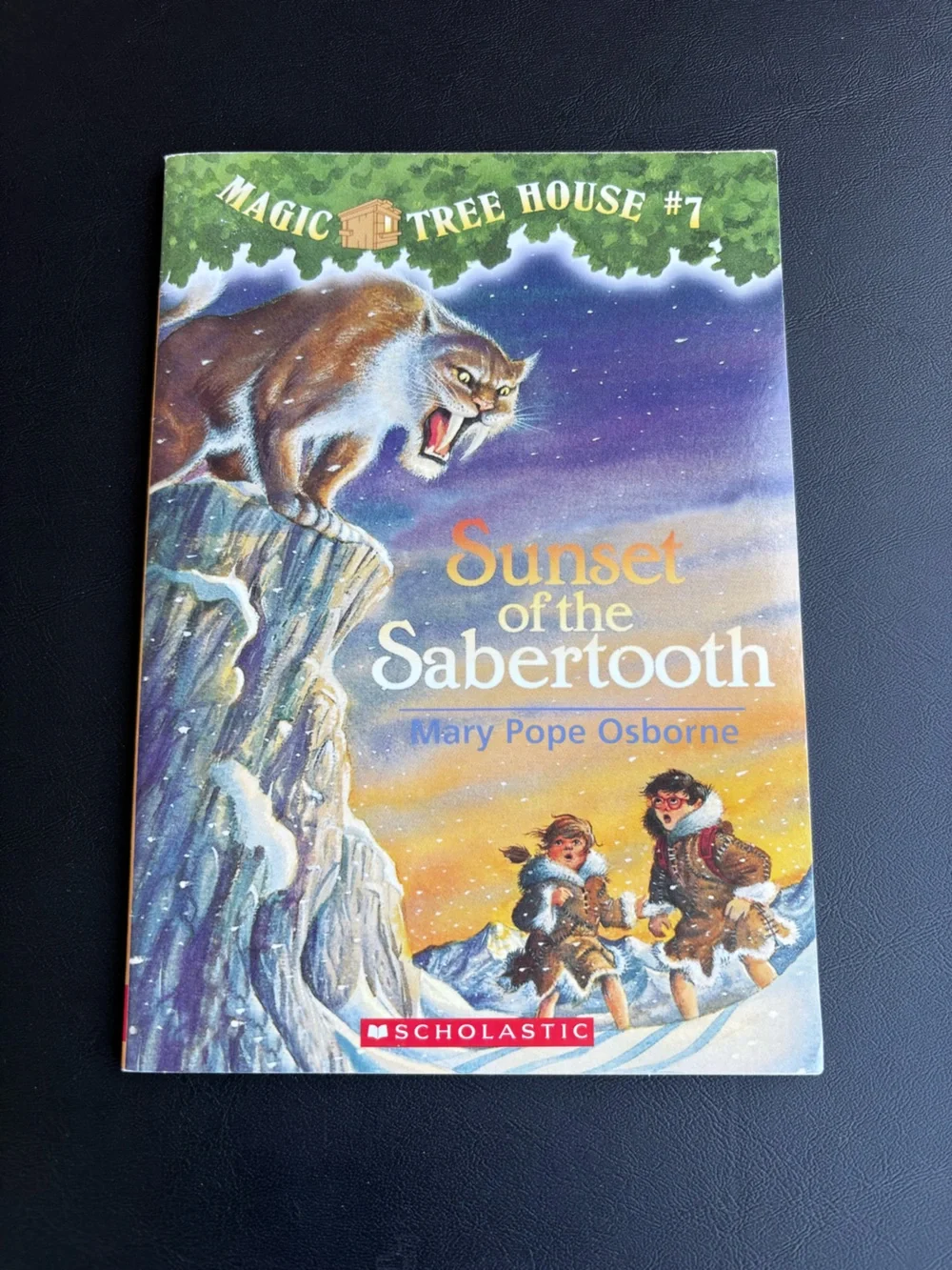 Magic Tree House Children's Books - Books #1 - #10